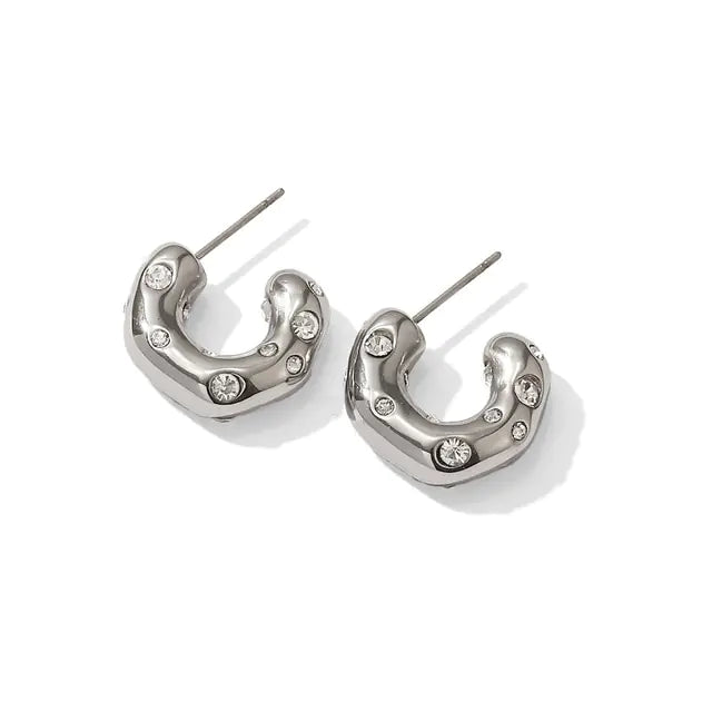 Leah Earrings in Silver